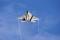 An F-22 Raptor pilot assigned to the 302nd Fighter Squadron, the Air Force Reserve Command associate unit at JB Elmendorf-Richardson, Alaska, takes off after being hot pit refueled during the monthly Unit Training Assembly weekend on 13 July 2013. During the week, the 302nd’s parent unit, the 477th Fighter Group, integrates with the active duty 3rd Wing at the base in Anchorage. The 477th FG is Alaska’s only Reserve unit.